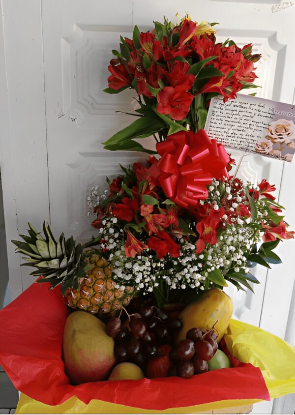 Astromelias frutales R50