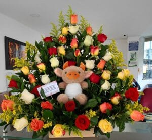 Pirámide de 50 rosas multicolor con peluche( Peluche a disponibilidad). R173